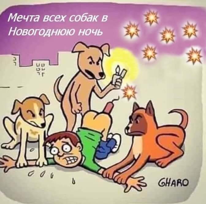 изображение_viber_2020-12-24_13-01-47.jpg