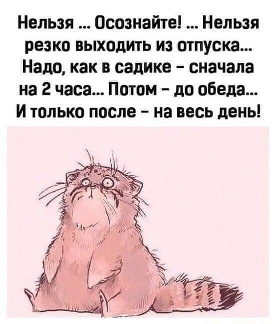 изображение_viber_2020-12-24_15-30-23.jpg