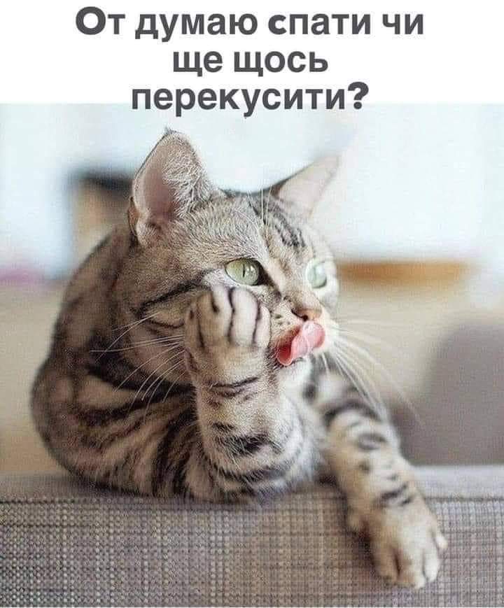 изображение_viber_2020-12-25_23-54-47.jpg