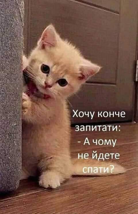 изображение_viber_2020-12-26_00-28-37.jpg