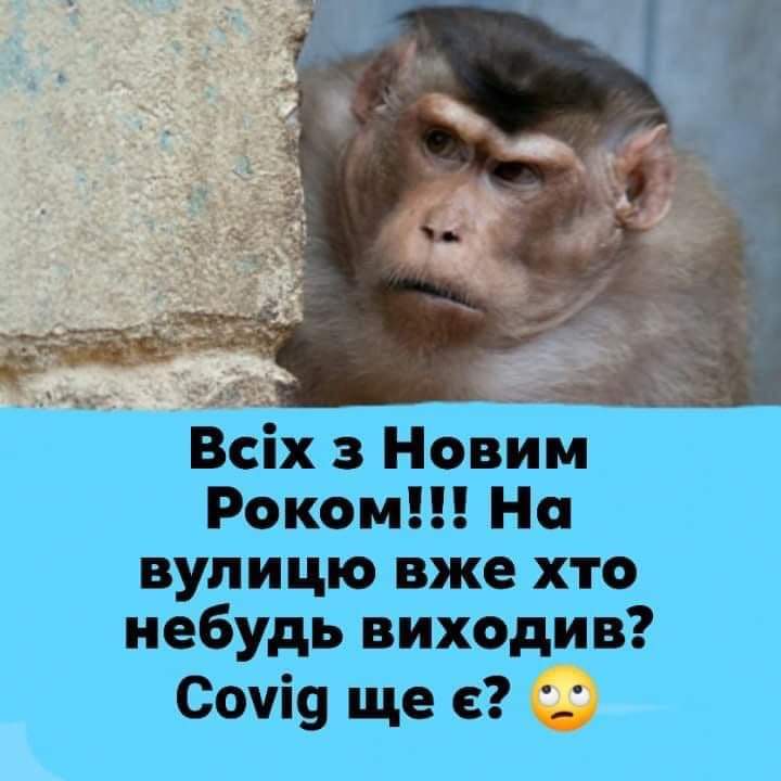изображение_viber_2021-01-01_15-41-05.jpg