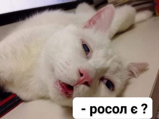 изображение_viber_2021-01-01_21-19-31.jpg