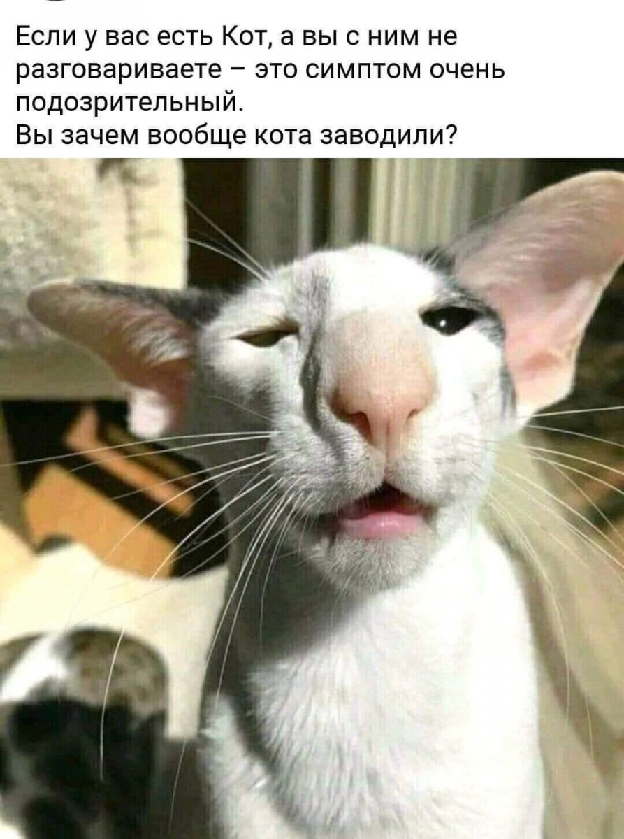 изображение_viber_2021-01-02_14-28-47.jpg