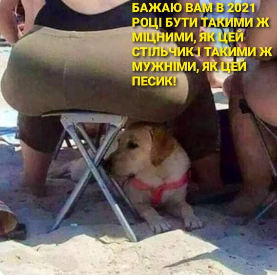 изображение_viber_2021-01-03_15-18-15.jpg