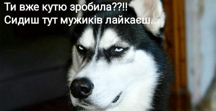 изображение_viber_2021-01-06_13-12-56.jpg
