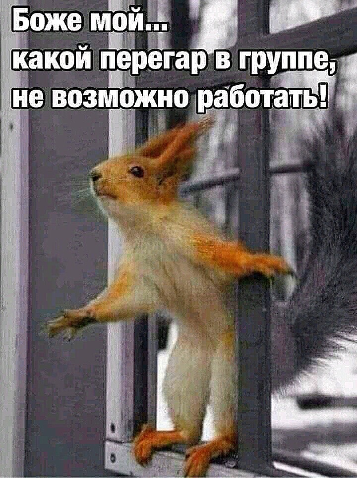 изображение_viber_2021-01-06_13-55-46.jpg