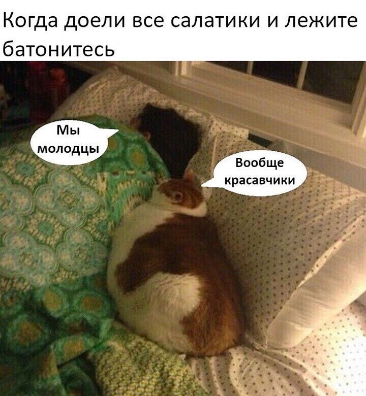 изображение_viber_2021-01-06_21-33-33.jpg