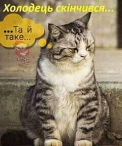 изображение_viber_2021-01-08_09-06-27.jpg