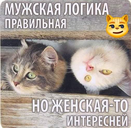 изображение_viber_2021-01-08_09-14-27.jpg