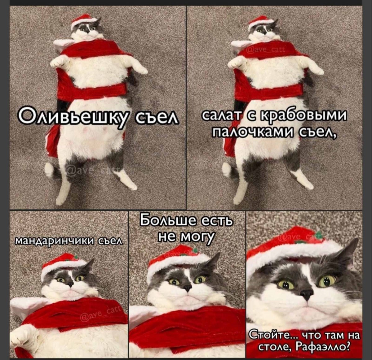 изображение_viber_2021-01-08_19-06-14.jpg