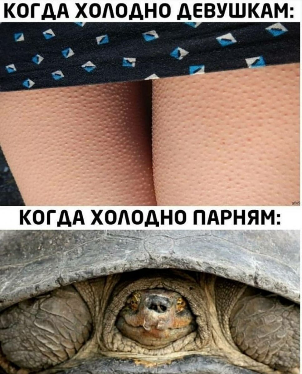 изображение_viber_2021-01-09_01-41-41.jpg