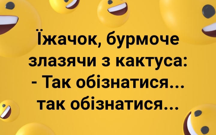изображение_viber_2021-01-10_09-19-06.jpg