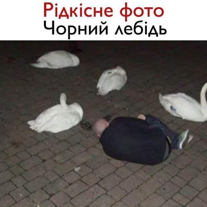 изображение_viber_2021-01-10_10-40-27.jpg