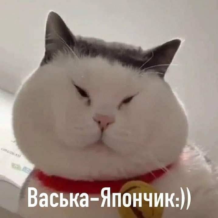 изображение_viber_2021-01-10_14-19-43.jpg