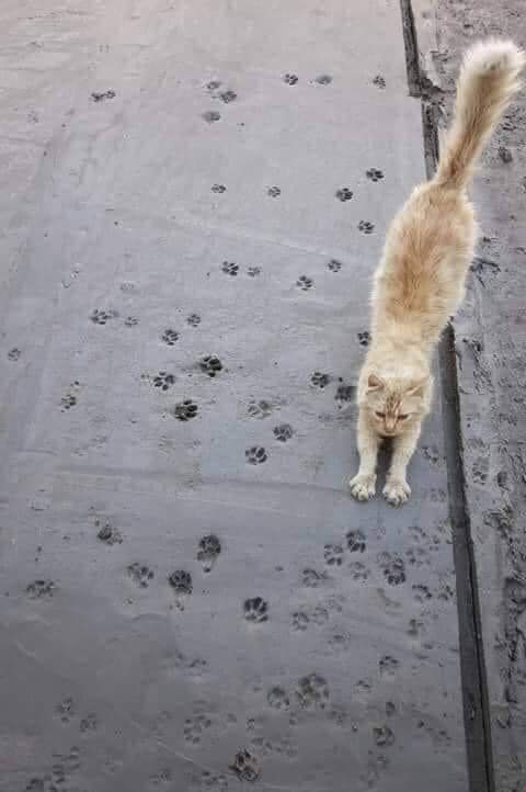 изображение_viber_2021-01-10_15-33-47.jpg