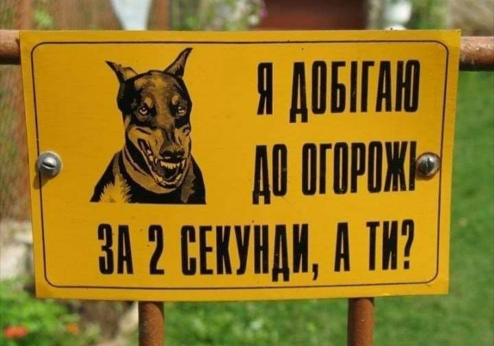 изображение_viber_2021-01-10_17-47-16.jpg
