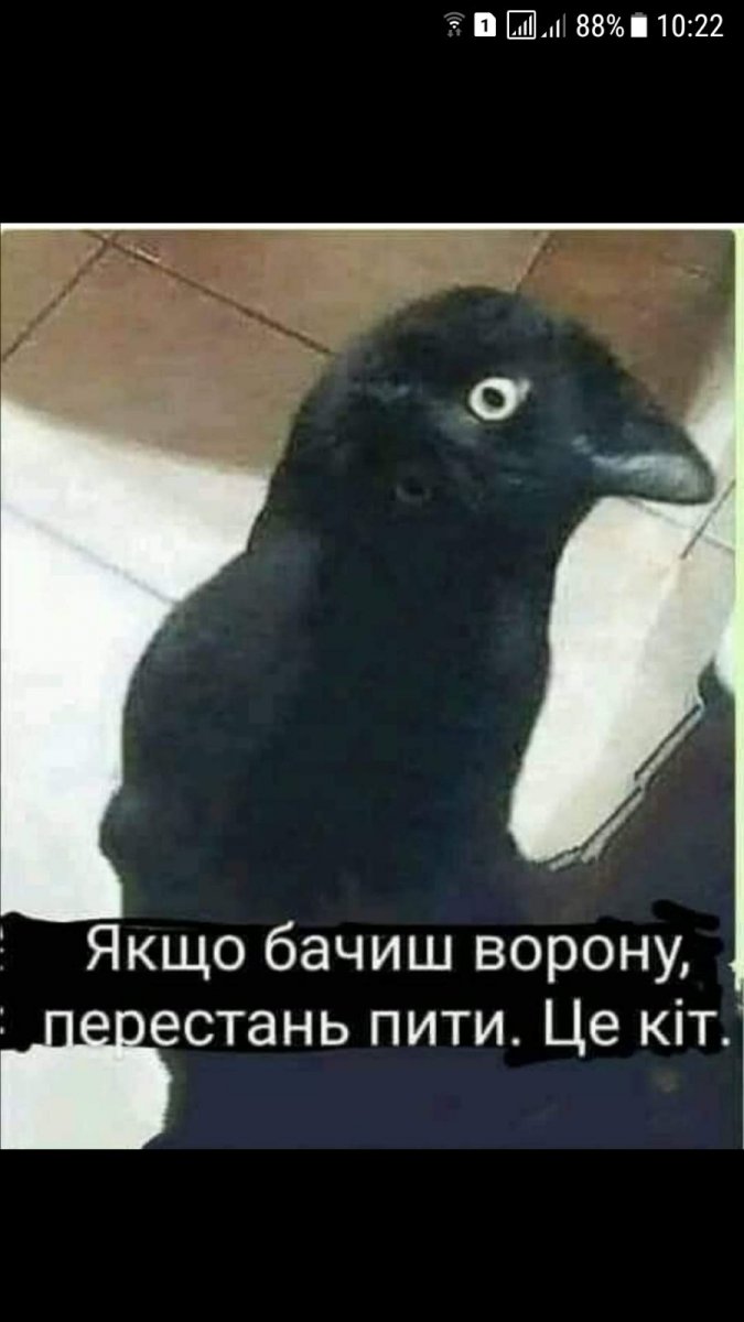 изображение_viber_2021-01-10_20-51-02.jpg