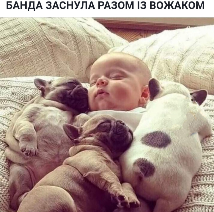 изображение_viber_2021-01-10_21-45-27.jpg