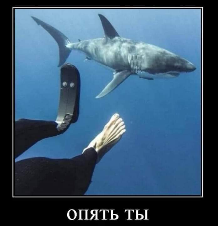изображение_viber_2021-01-12_13-27-59.jpg