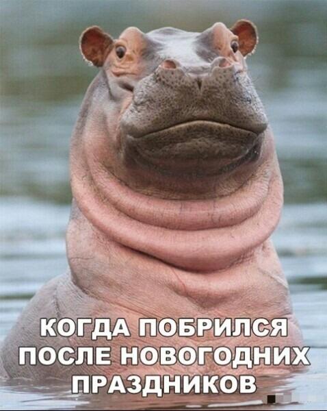 изображение_viber_2021-01-13_02-29-44.jpg