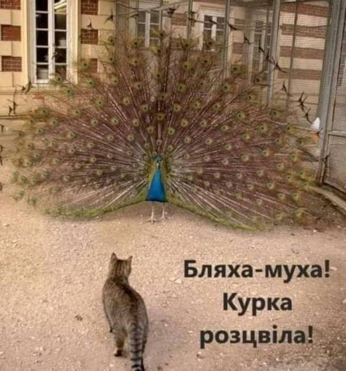 изображение_viber_2021-01-13_14-13-57.jpg