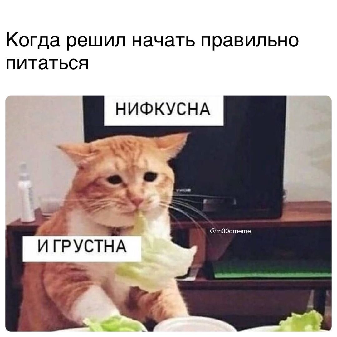 изображение_viber_2021-01-15_19-48-51.jpg