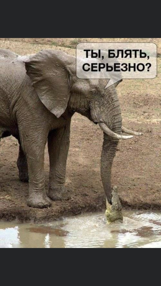 изображение_viber_2021-01-31_10-19-523.jpg