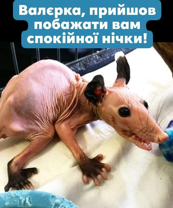 изображение_viber_2021-01-31_18-29-42.jpg