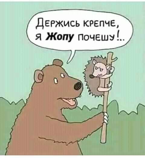 изображение_viber_2021-01-31_20-29-53.jpg