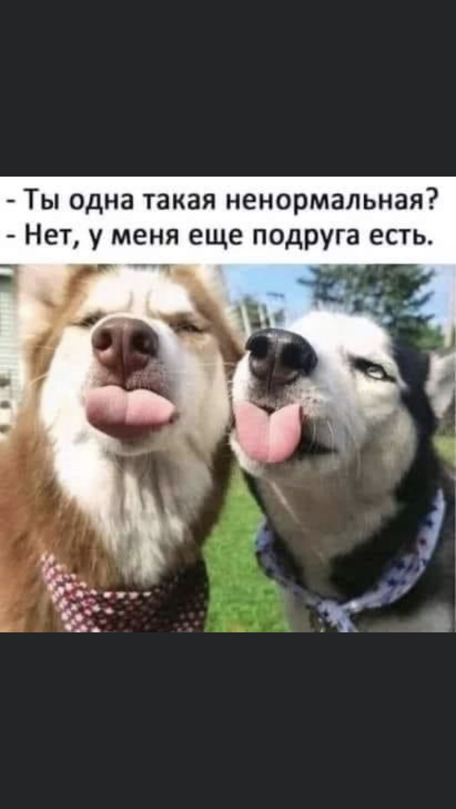 изображение_viber_2021-01-31_21-12-45.jpg