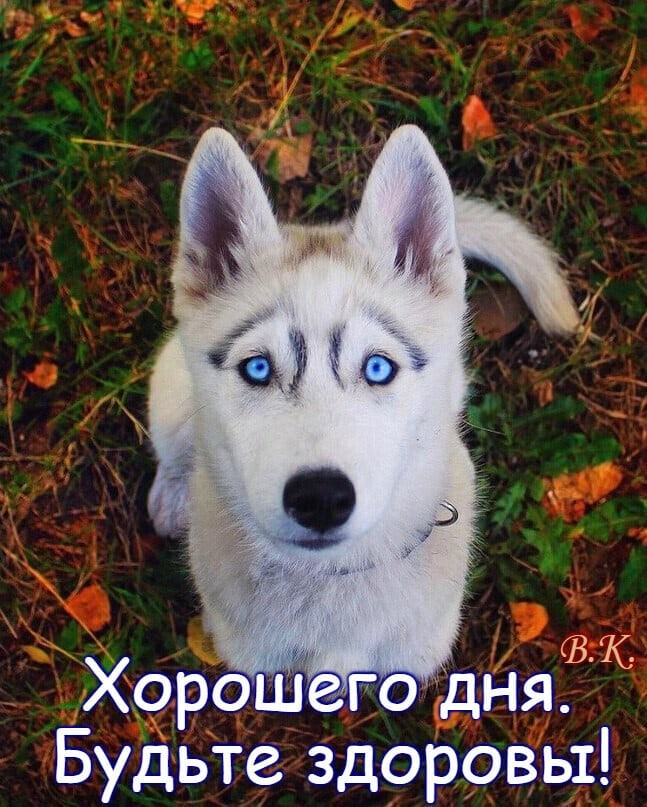 изображение_viber_2021-02-01_09-54-29.jpg