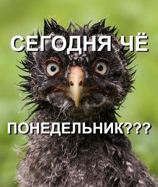 изображение_viber_2021-02-01_09-54-45.jpg