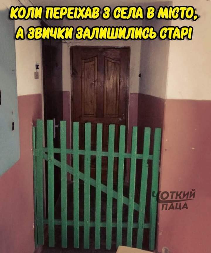 изображение_viber_2021-02-01_10-21-39.jpg