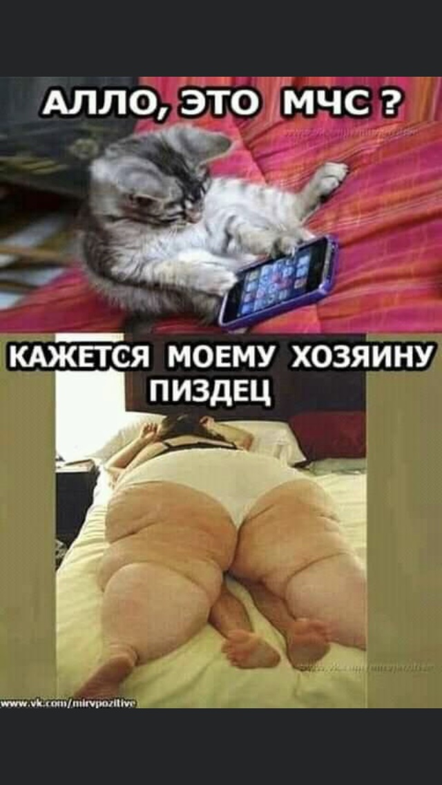 изображение_viber_2021-02-02_07-18-171.jpg