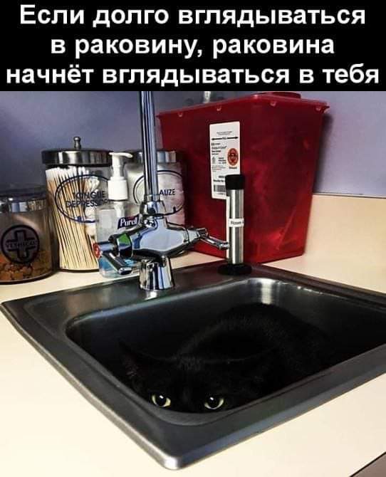 изображение_viber_2021-02-22_23-04-20.jpg