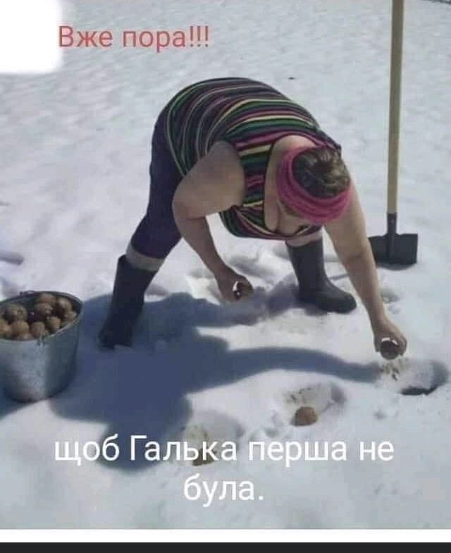 изображение_viber_2021-02-23_07-10-14.jpg