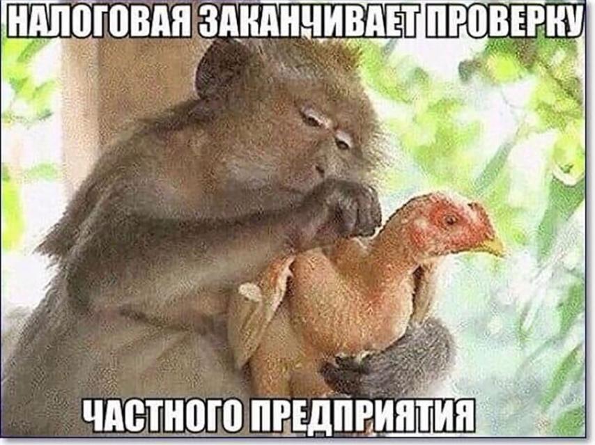 изображение_viber_2021-02-24_12-08-11.jpg