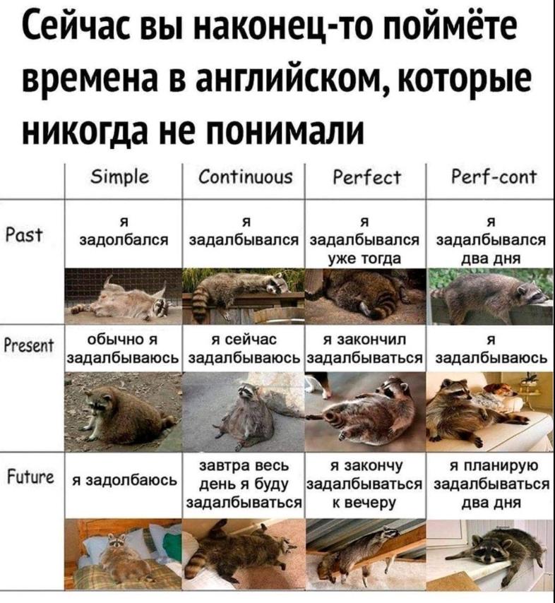 изображение_viber_2021-02-27_12-47-59.jpg