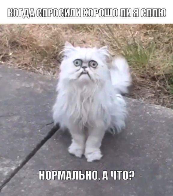 изображение_viber_2021-02-28_10-51-37.jpg
