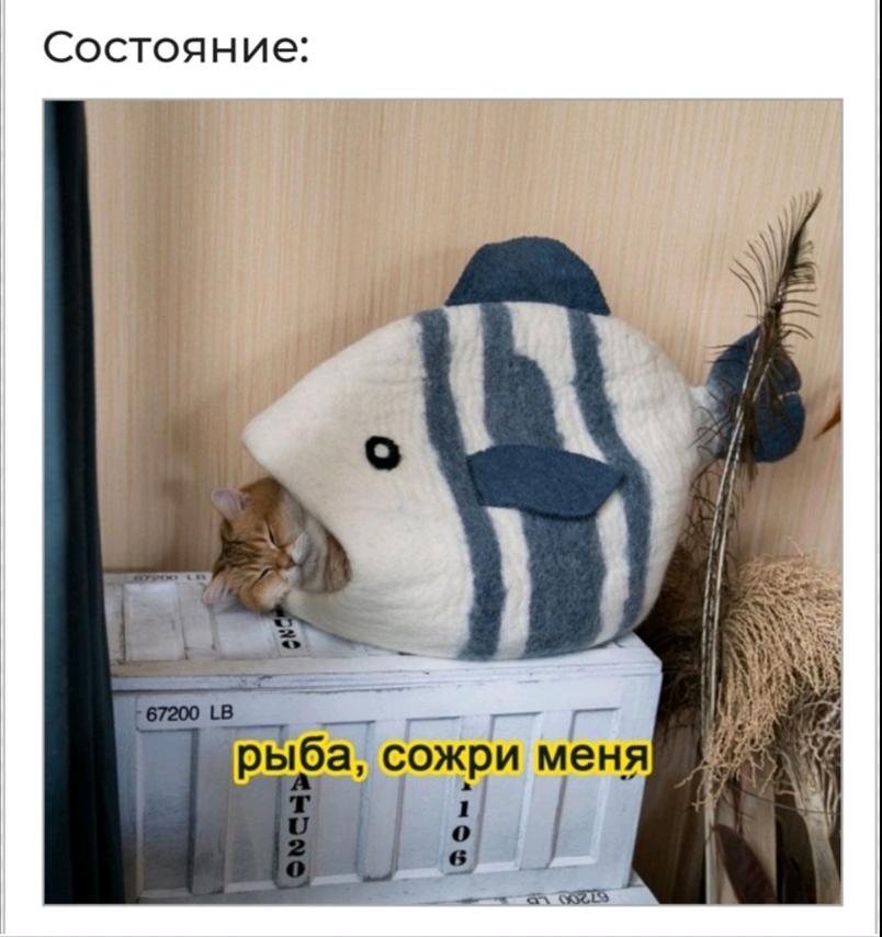 изображение_viber_2021-02-28_15-10-18.jpg