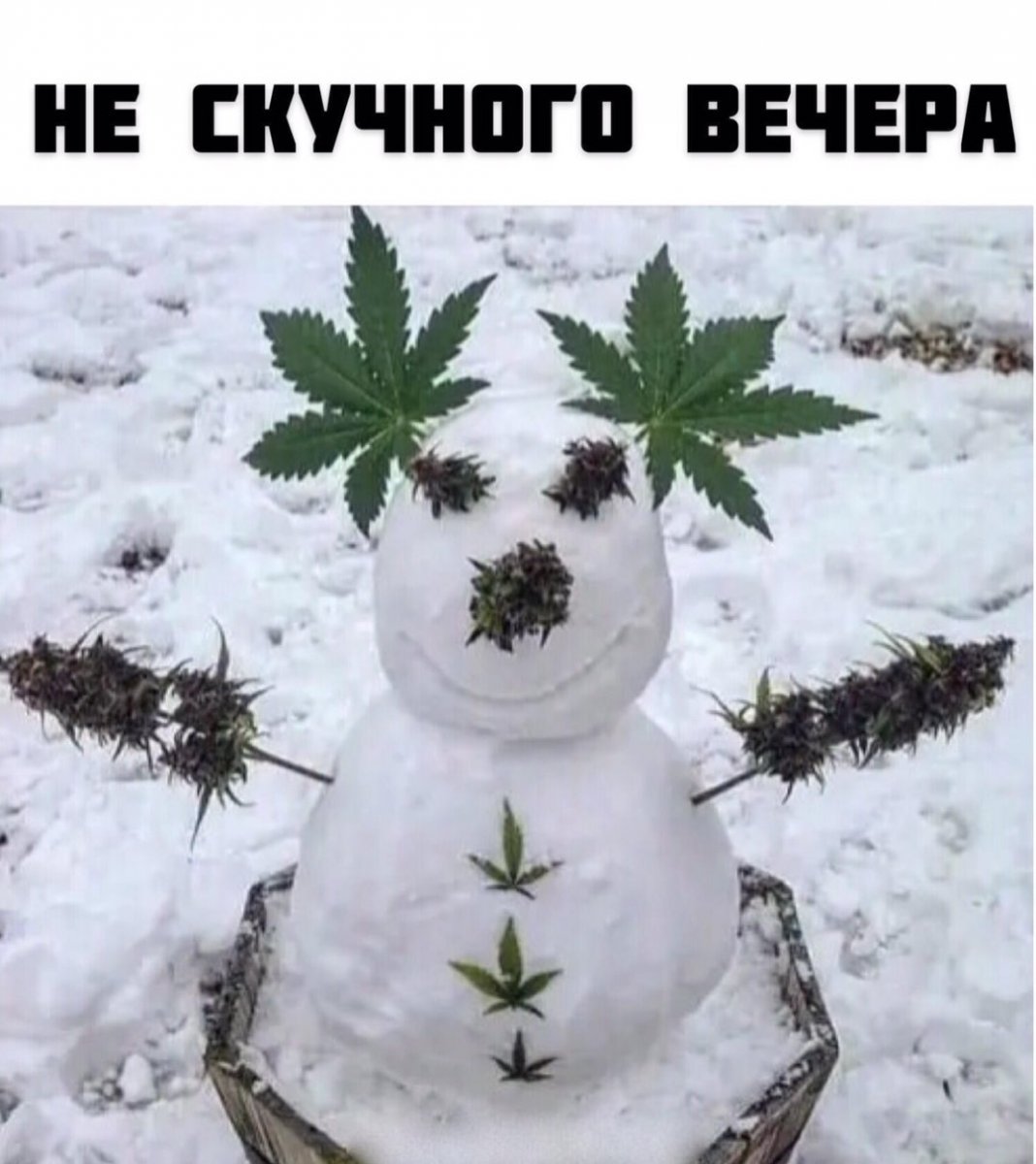 изображение_viber_2021-03-01_18-44-21.jpg