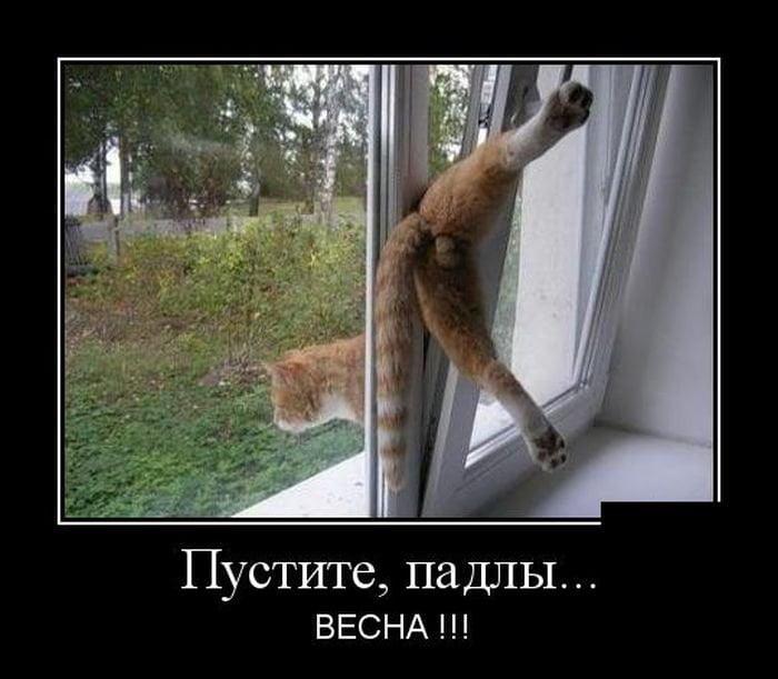 изображение_viber_2021-03-02_07-10-50.jpg