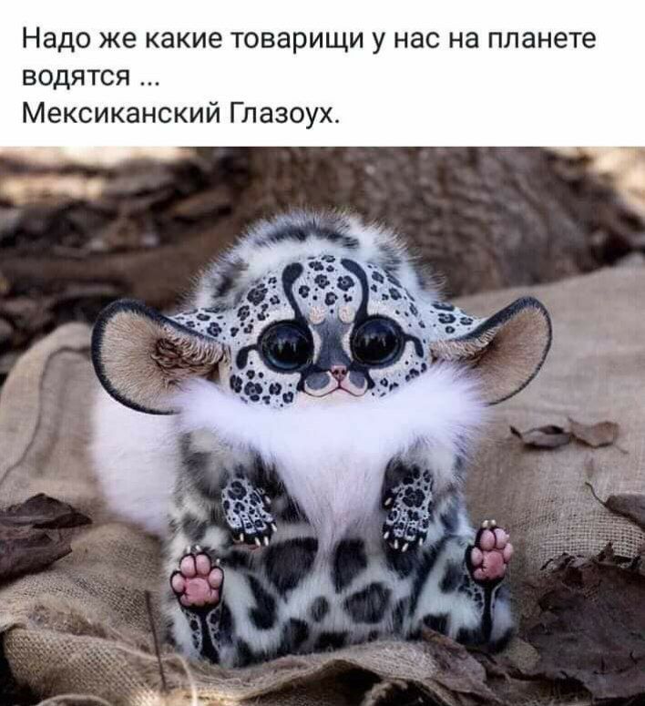 изображение_viber_2021-03-02_15-40-13.jpg