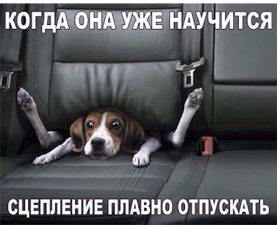 изображение_viber_2021-03-03_08-56-24.jpg