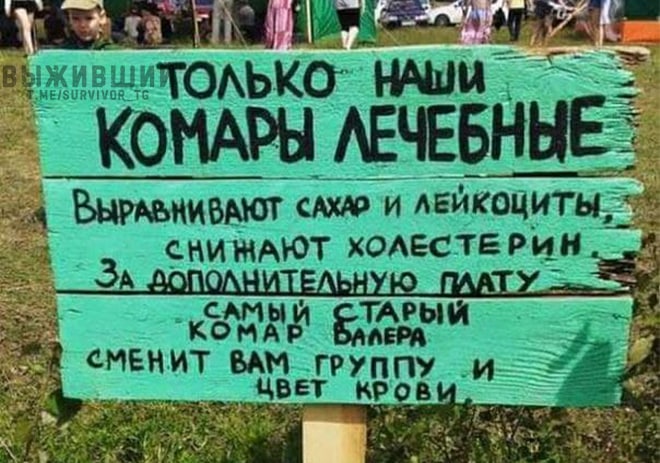 изображение_viber_2021-03-03_11-39-38.jpg