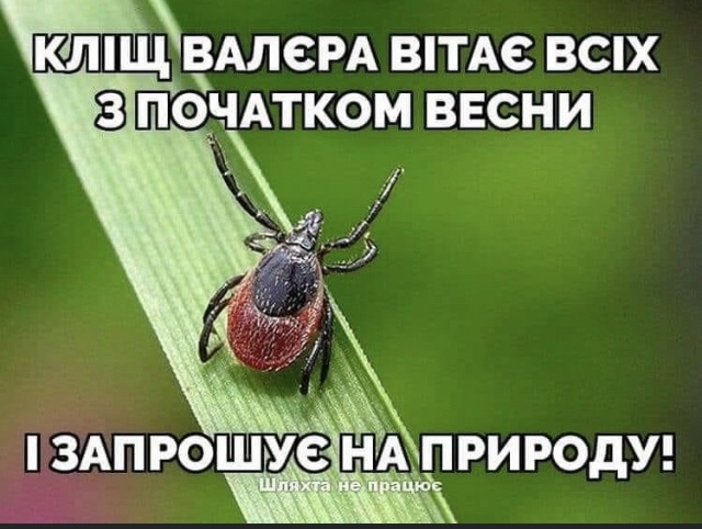 изображение_viber_2021-03-04_08-26-21.jpg