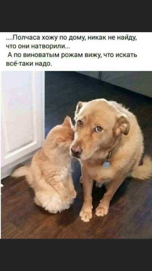изображение_viber_2021-03-04_16-51-55.jpg