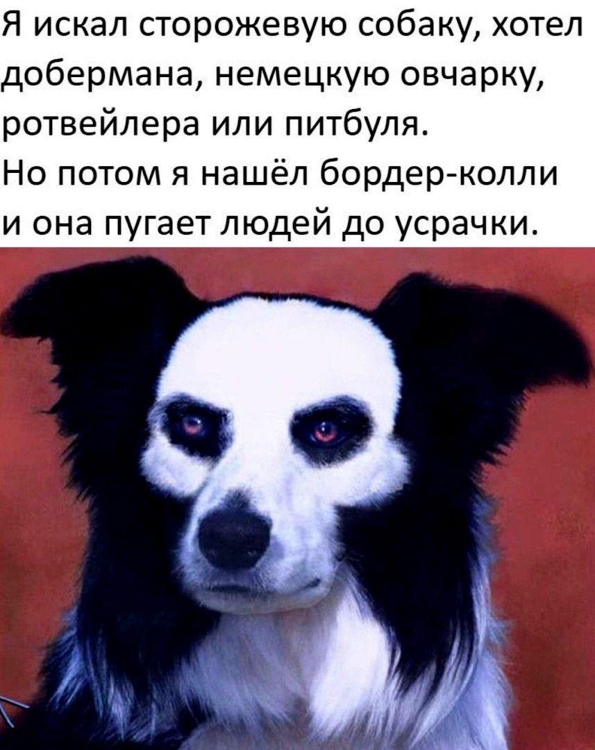 изображение_viber_2021-03-05_08-46-51.jpg