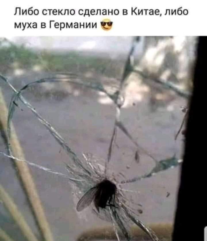 изображение_viber_2021-03-05_09-10-19.jpg