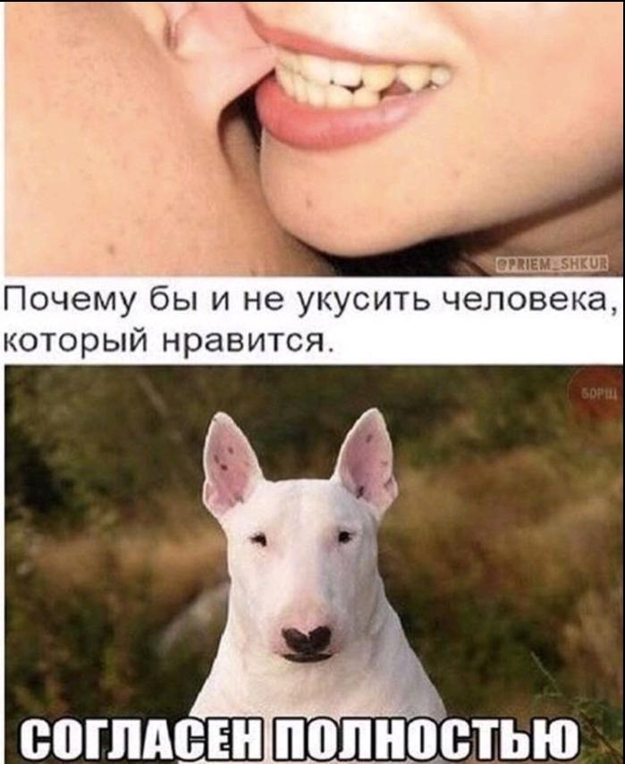 изображение_viber_2021-03-07_14-50-40.jpg